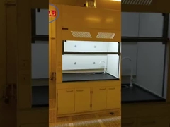 Tablero fisioquímico Benchtops del humo del metal del laboratorio de la capilla 50m m de los pies ajustables de acero de la altura