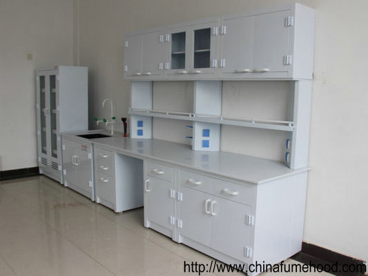 El banco modificado para requisitos particulares de los muebles del laboratorio de química colorea opcionalmente 2 capas del estante el reactivo