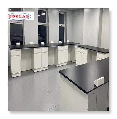 Muebles de laboratorio de química azul estándar Banco de laboratorio para operaciones de laboratorio eficientes