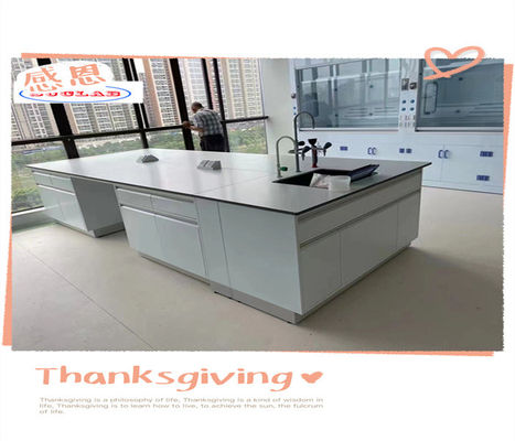 Buen precio Funcionalidad suave Química Banco de laboratorio de laboratorio Bancos de trabajo- Superficie pulida Diseño multifuncional en línea