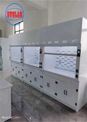 Buen precio 220V Chemical Fume Hood Lab Acid Fume Hood Pared montada con estructura horizontal en línea