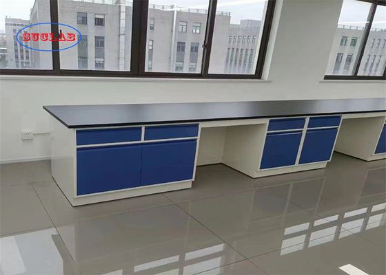 Buen precio Muebles de laboratorio de química personalizables Banco de trabajo de laboratorio de Hong Kong con estructura integrada en línea