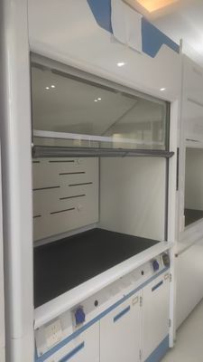 Buen precio Customizable Automatic Sash Closure System Fume Hood for American Clients Mr.. Khoa en línea