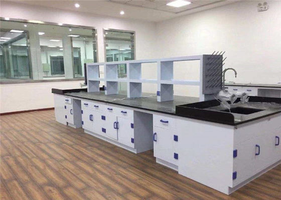 Buen precio Las ventas al por mayor suministran el banco de laboratorio de la escuela secundaria el material de los PP para el laboratorio físico de la escuela en línea