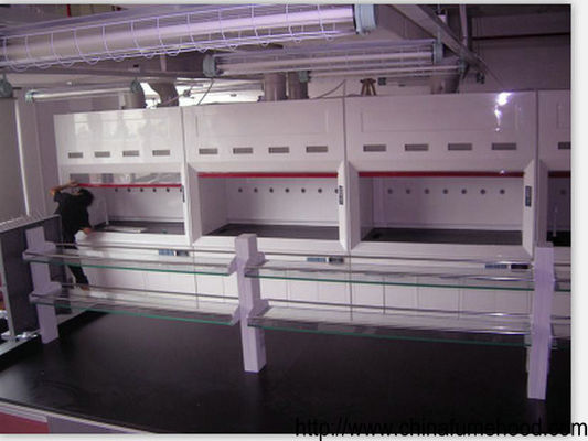 Buen precio Capilla del humo de los productos de FRP en muebles del laboratorio de la fábrica del laboratorio de China en línea