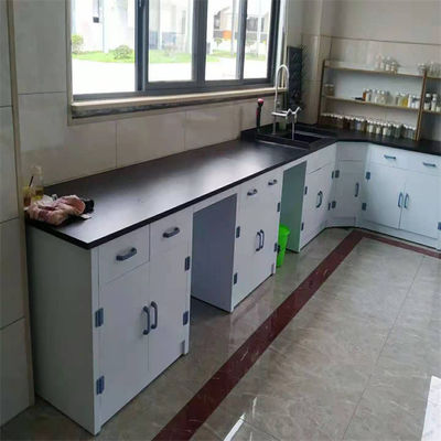 Buen precio Bancos de pared de laboratorio pulidos modernos para uso en laboratorios en línea