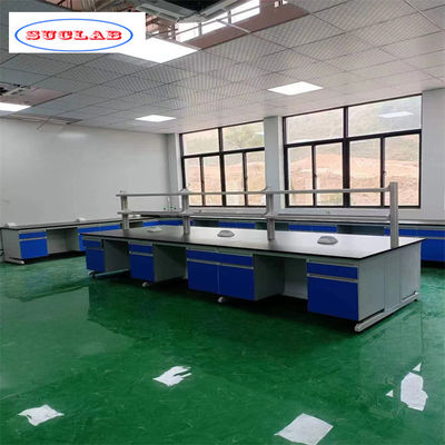 Buen precio Instalación rápida y fácil Muebles de laboratorio de química con diseño clásico en línea
