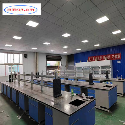 Buen precio Estructura integrada y fácil instalación Muebles de laboratorio de química OEM/ODM aceptable en línea