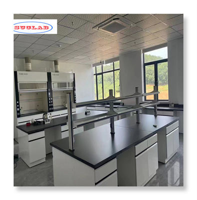 Buen precio Diseño clásico Muebles de laboratorio de química con estructura modular 1-5 años en línea
