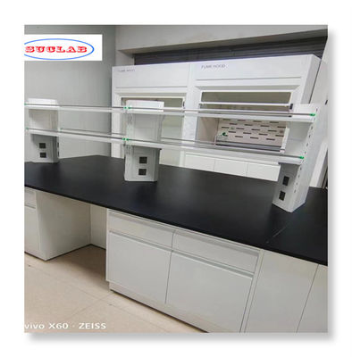 Buen precio Muebles de laboratorio de química de acero con capacidad de instalación rápida Material duradero en línea