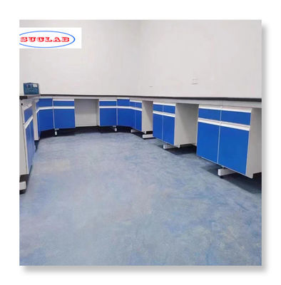 Buen precio Bancos de pared de laboratorio personalizables: maximice la eficiencia en su espacio de laboratorio en línea