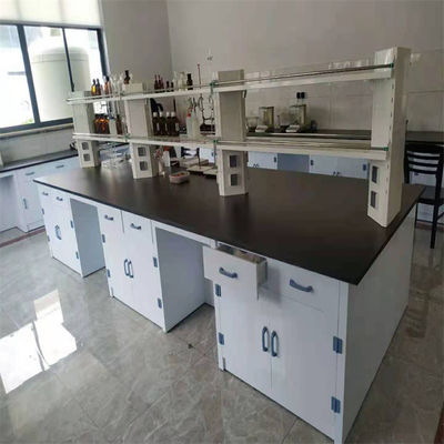 Buen precio Muebles de laboratorio de química personalizables 1-5 años de rendimiento garantizado en línea