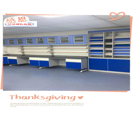 Buen precio Bancos de pared de laboratorio duraderos con opciones personalizables y recubrimiento en polvo en línea