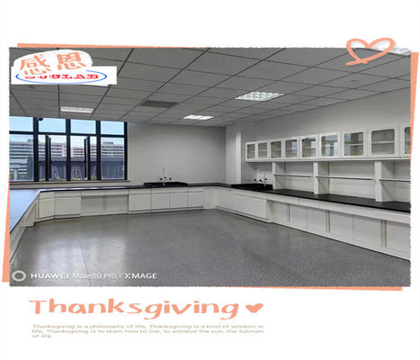 Buen precio Muebles de laboratorio de química modular para laboratorios de exportación en línea