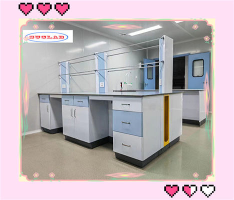 Buen precio Alta resistencia química y alta compatibilidad con el medio ambiente Laboratorio de química Banco de laboratorio Estación de trabajo en línea