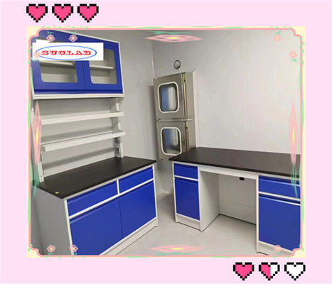 Buen precio 80 kg Banco de laboratorio de química Casos de laboratorio con un alto grado de respeto al medio ambiente en línea
