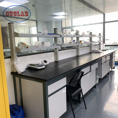 Buen precio Acceptable OEM/ODM Muebles de laboratorio de química Bancos de pared de laboratorio con estructura integrada en línea