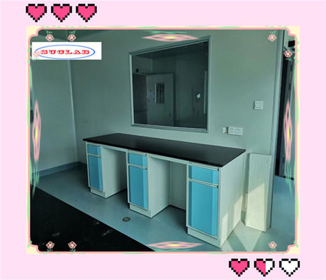 Buen precio Casos de laboratorio plegables Estantes de reactivos duraderos con estante de vidrio ajustable en un marco de 40 * 60 * 100 mm en línea