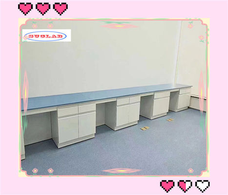 Buen precio En el caso de los equipos de laboratorio de química rectangular, la dimensión es L*1500/750 W *800/850 mm H personalizable en línea