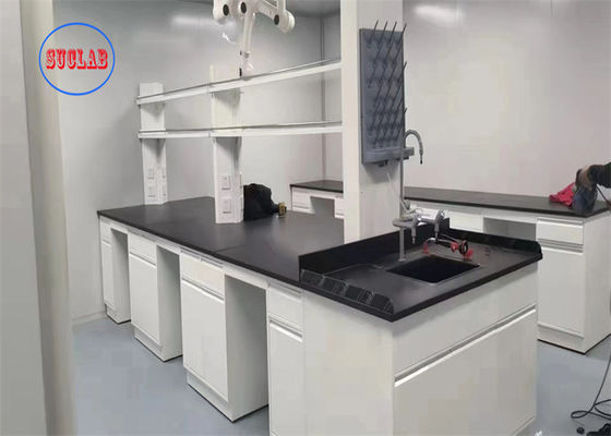 Buen precio Banco de laboratorio de acero Hong Kong Muebles de laboratorio de química Vietnam Con fregadero de PP y grifo de latón en línea