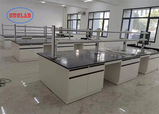 Buen precio Muebles de laboratorio de química personalizables Muebles de laboratorio de Hong Kong Fácil de instalar y hechos a medida en línea