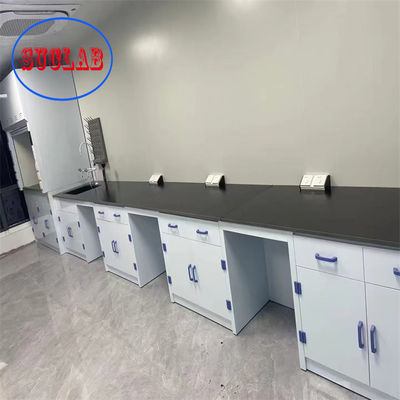 Buen precio Muebles de laboratorio de química modernos personalizables Precio Hong Kong con estructura integrada y tratamiento de superficie en línea