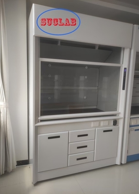 Buen precio Puertas de elevación automática de acero completo Soluciones de capó de humo de laboratorio para entornos de trabajo con bajo nivel de ruido Nivel de ruido≤60dB Flujo de aire 100m3/h en línea