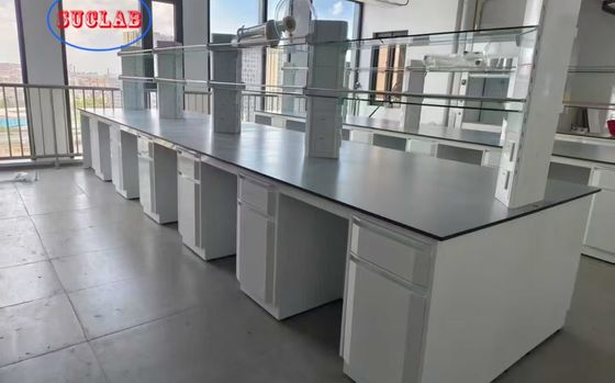 Buen precio Upgrade Your Lab with Modern and Durable Powder Coating Laboratory Workstation Furniture en línea