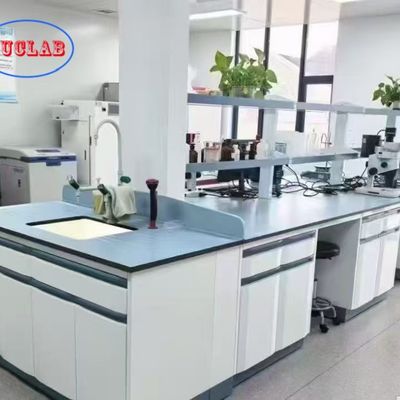 Buen precio Customized Made Laboratory Furniture Manufacturers in Steel Material for Chemical Lab en línea