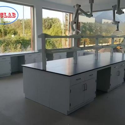 Buen precio Full Steel Chemical Laboratory Workbench with 175° Buffer Hinge and Trespa Counter Tops en línea