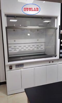 Buen precio Custom Laboratory Fume Hood Manufacturers With Strong Powerful Ventilation System Ideal for Laboratory Chemical Fume Extraction en línea