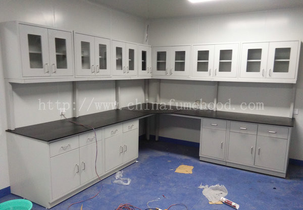 Manijas a prueba de calor de los SS del estudio de antecentes de los muebles de acero del laboratorio de la ciencia de la escuela 0